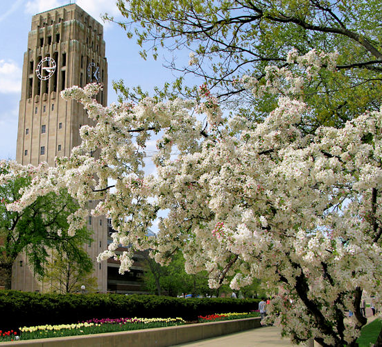 Univewrsity of Michigan bell tower